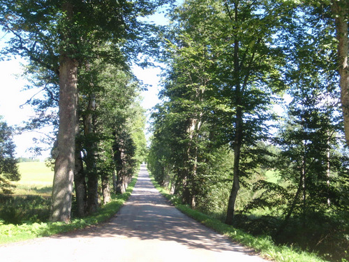 the driveway entrance to Ericsberg Castle.